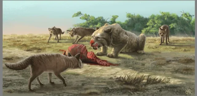 7. They were in direct, deadly competition with other apex predators