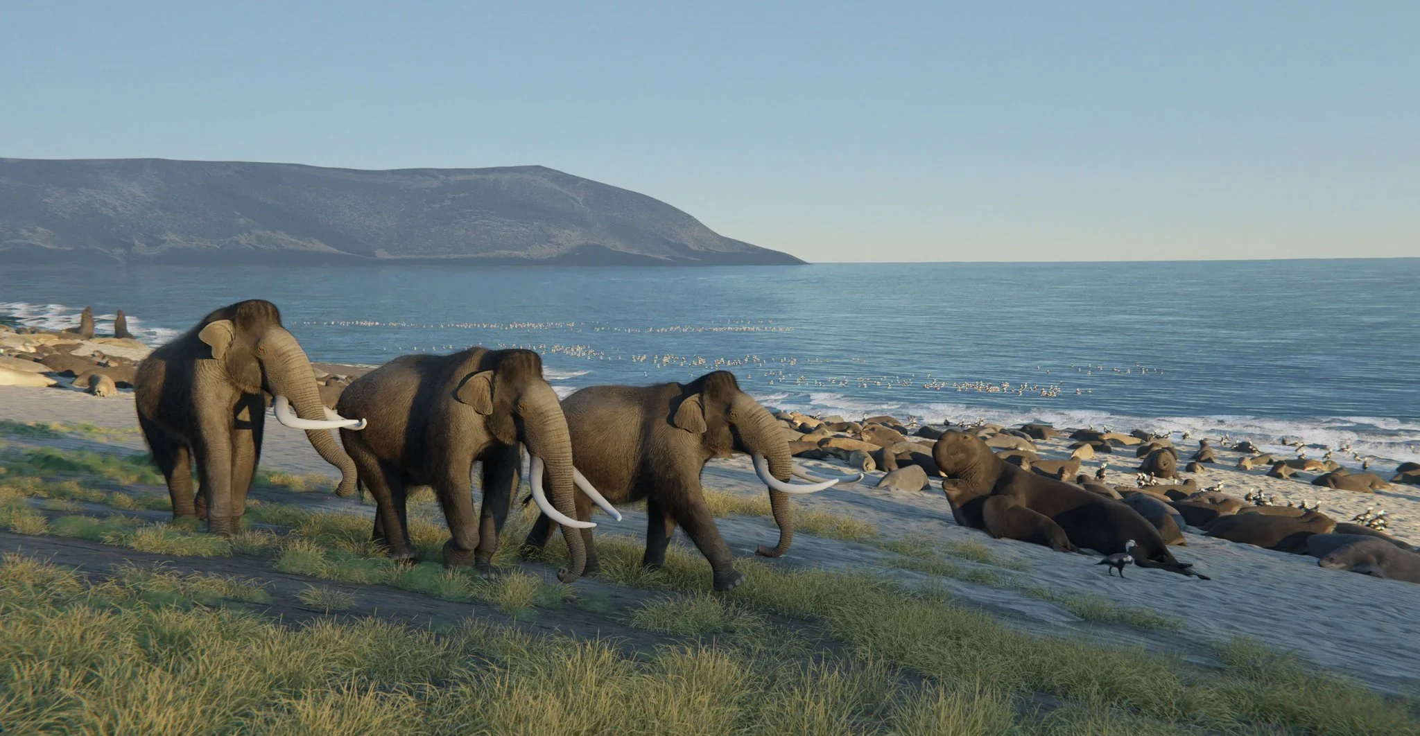 11. Dwarf mammoths of the Channel Islands – tiny Ice Age relics off California