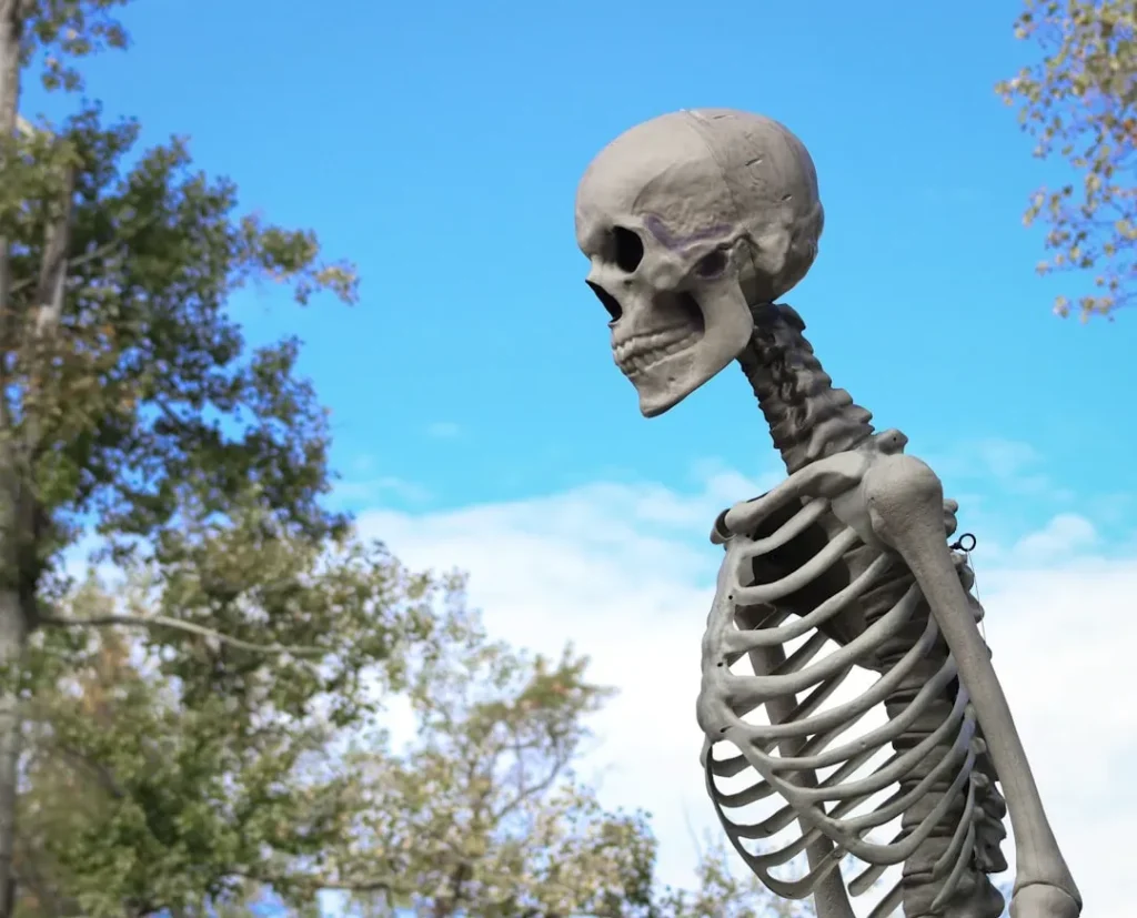 7 Things Early Humans Definitely Got Wrong About the Giant Bones They Were Finding Underground