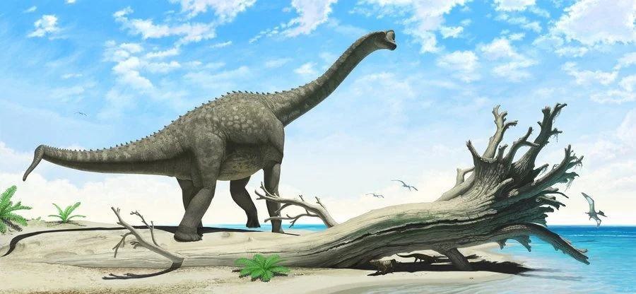 A Sauropod You Could Actually Imagine Seeing Eye To Eye