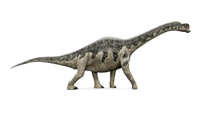 Conclusion: Why Europasaurus Deserves More Hype Than The Mega-Giants