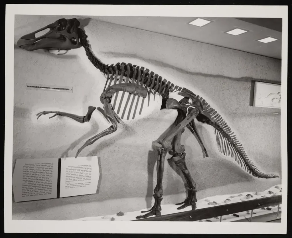 13 Dinosaur Facts Fossil Hunters Quietly Stopped Teaching Because the Truth Is Far Stranger