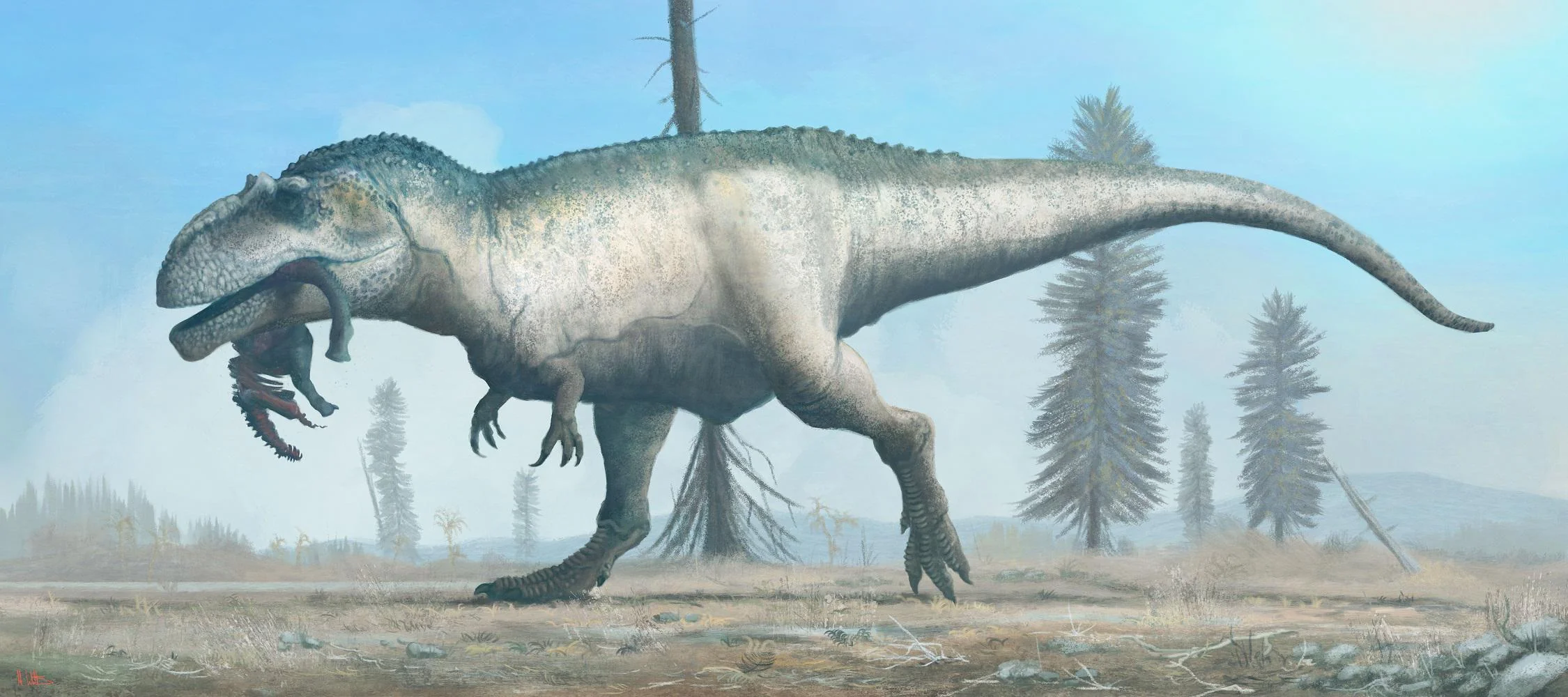 3. A Potential Speed Advantage for a Predator of Its Size