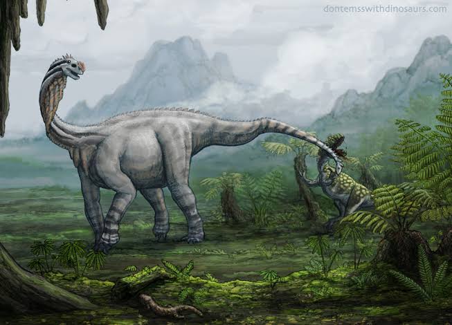 Why Would a Plant‑Eater Need a Weapon Like That?