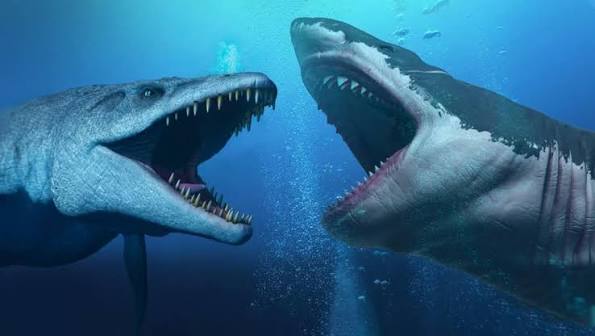 Megalodon vs. Mosasaurs: Dinosaurs’ Ocean Rivals