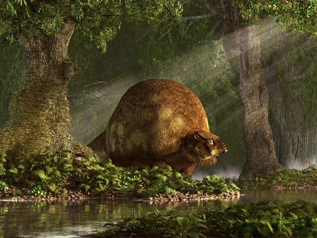 Glyptodons, Terror Birds, and the Truly Bizarre