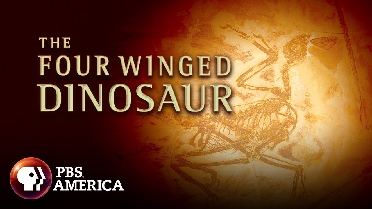 Nova: The Four‑Winged Dinosaur 
