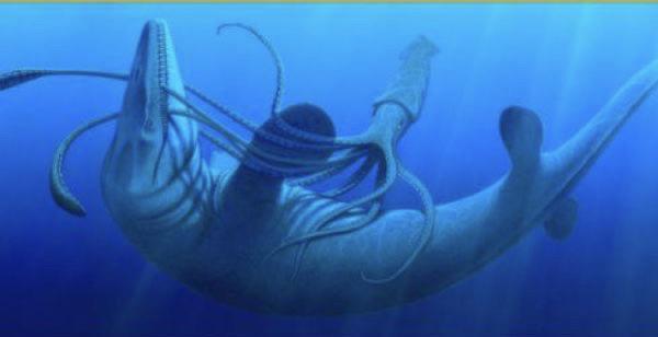 Did You Know Some Sea Reptiles Shared the Oceans With Giant Squid?
