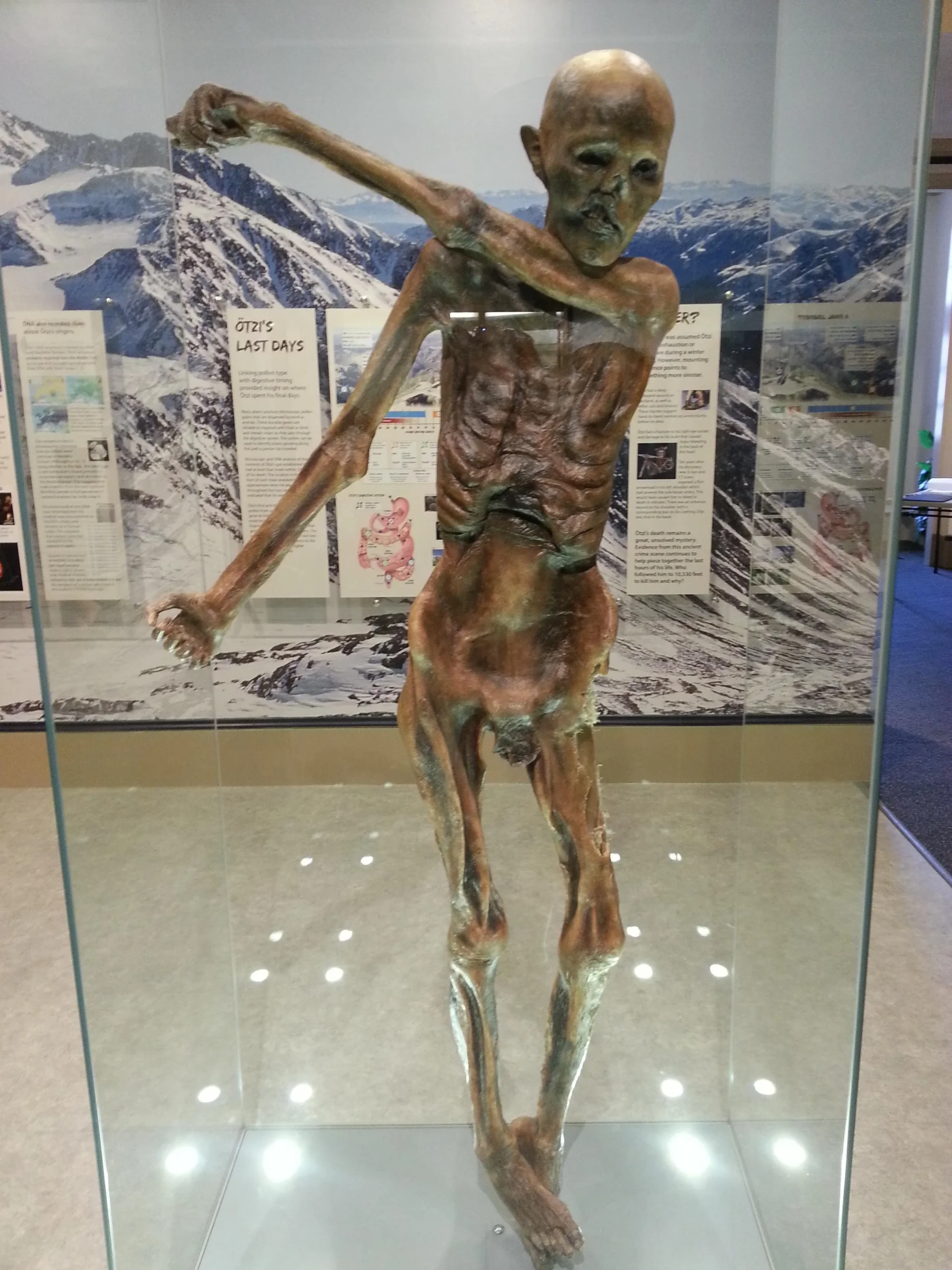 Why Ötzi’s Murder Still Matters Today