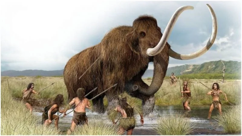 Myth 3: Humans Hunted Mammoths to Extinction All by Themselves