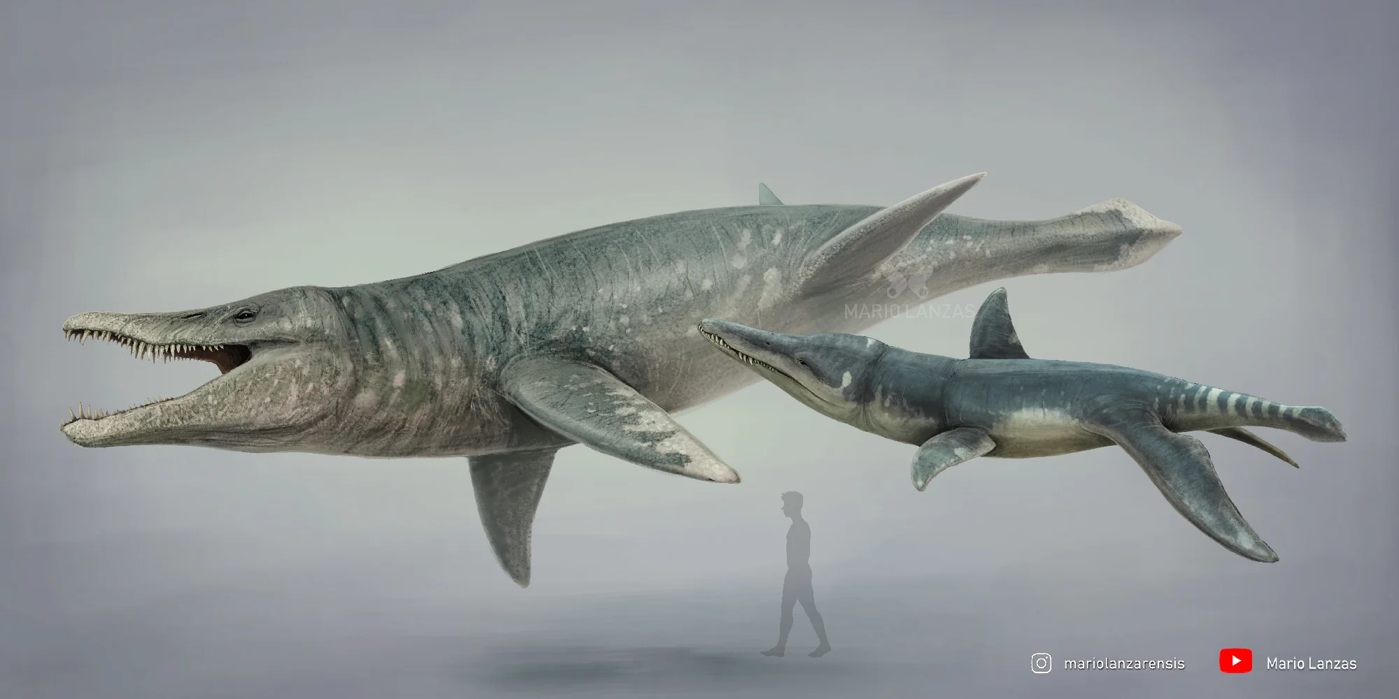 Liopleurodon and the Pliosaur Terrors
