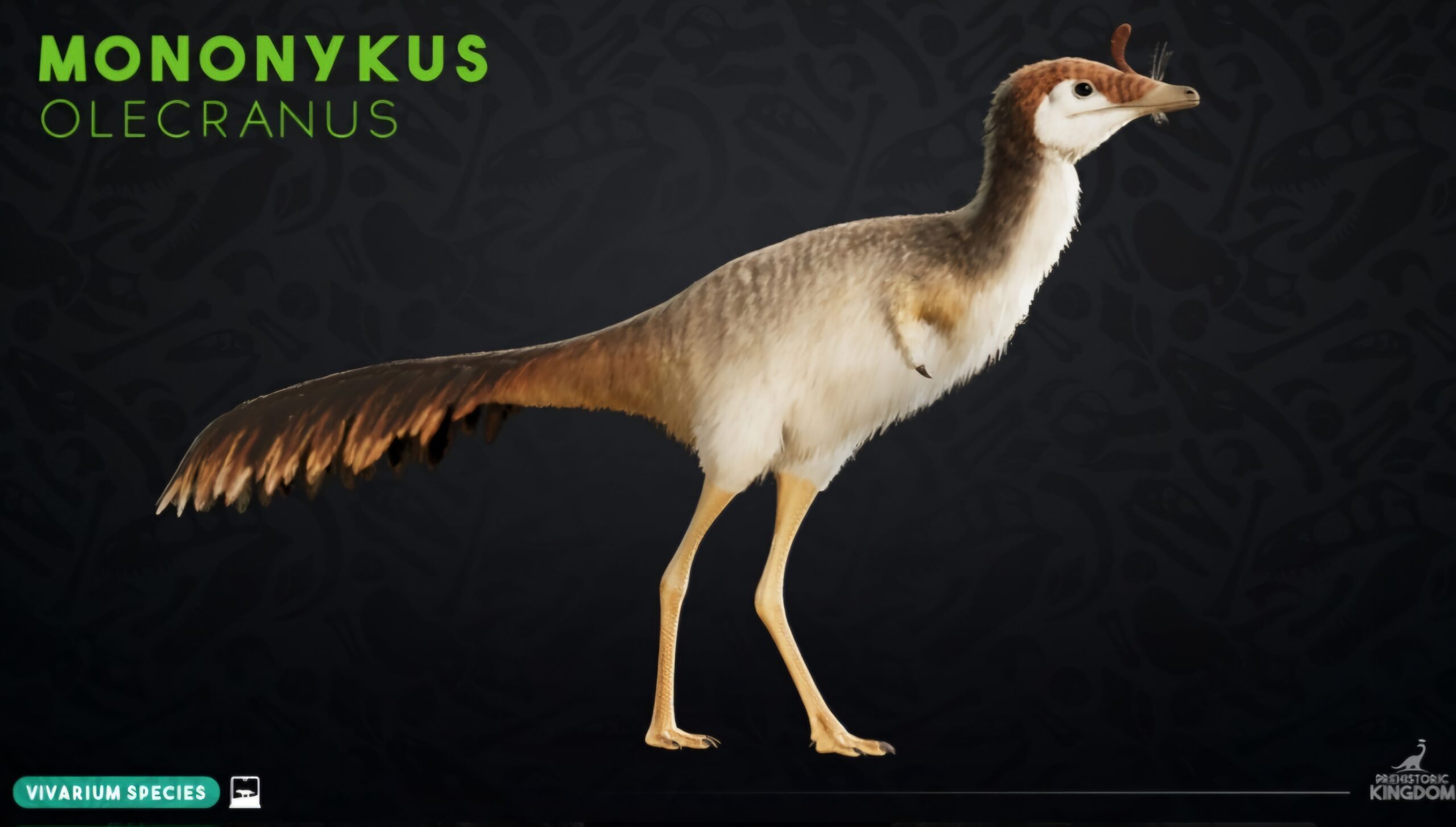 A Key Player in the Dinosaur–Bird Story 