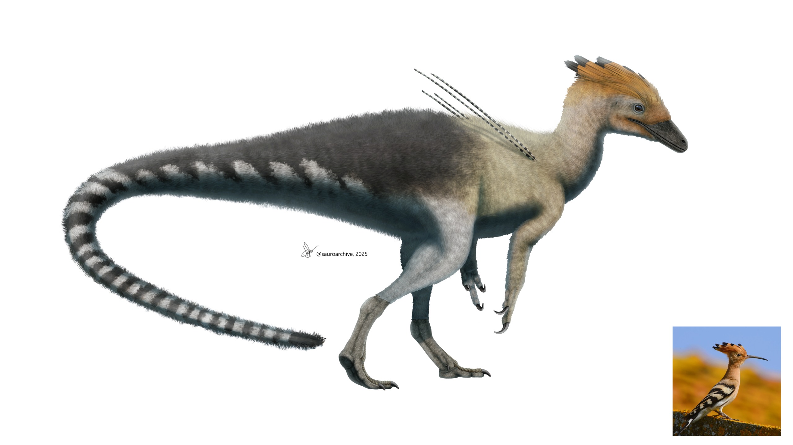 How Ubirajara Changed the Way We Picture Dinosaur Beauty