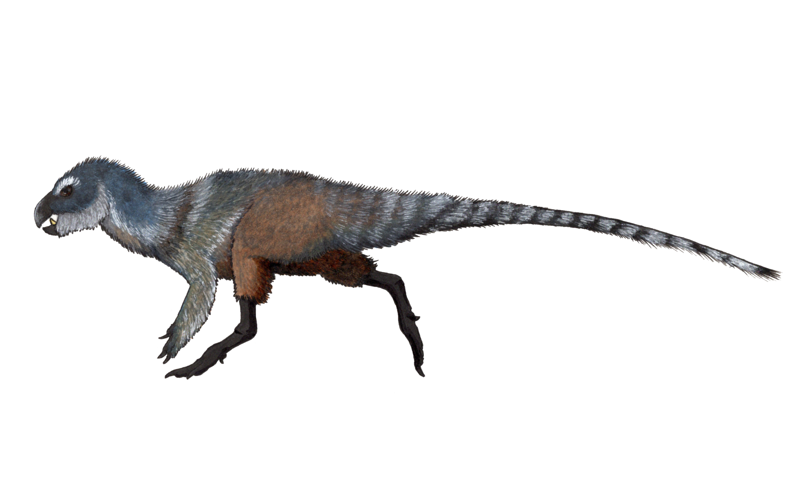 A Cat-Sized Dinosaur That Looked Like a Walking Cactus 