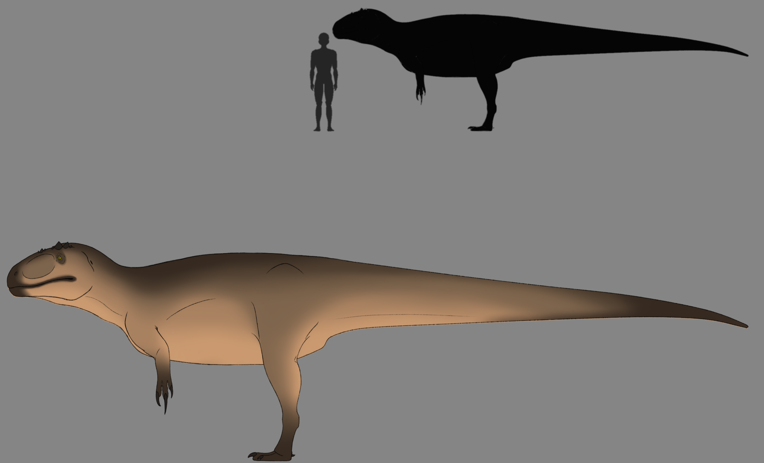 #4 - Majungasaurus crenatissimus: The Cannibal King of Madagascar