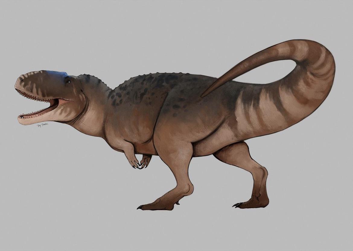 #2 – Tyrannotitan: The Early South American Powerhouse