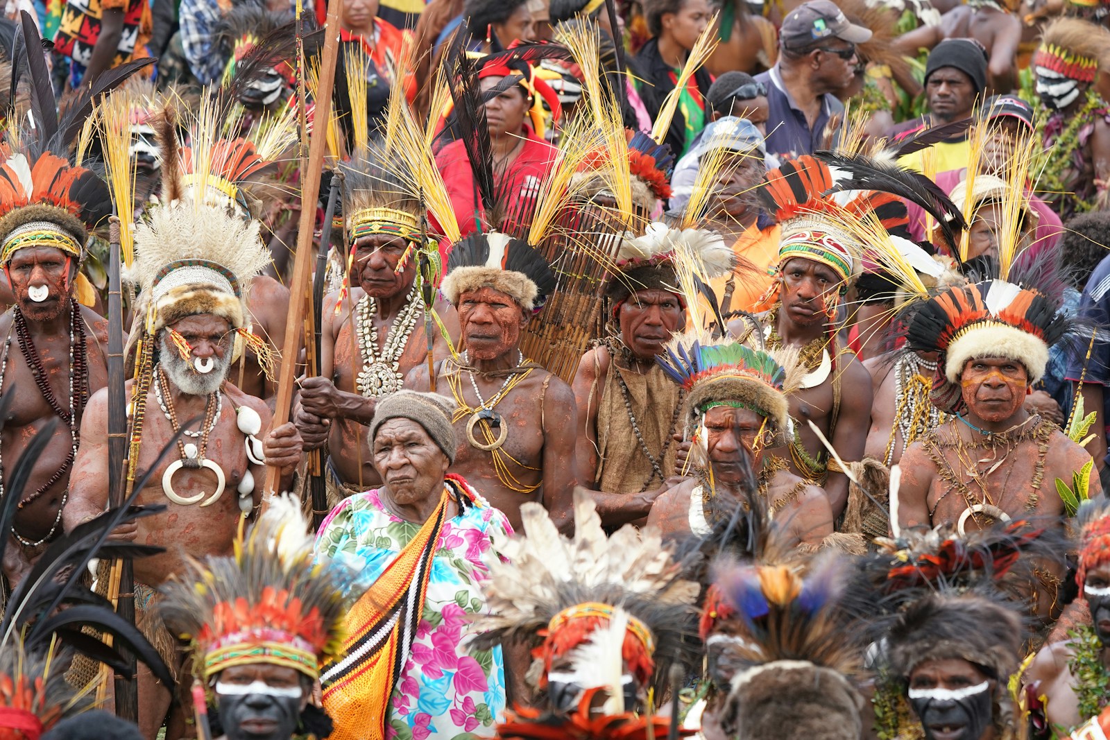 Tribal Minds in a Global World: How Belonging Warps Our Choices