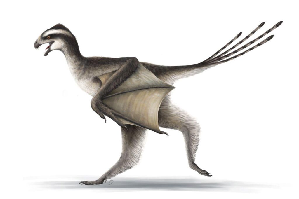 The Dinosaur With Bat-Like Wings That Scientists Still Struggle to Explain