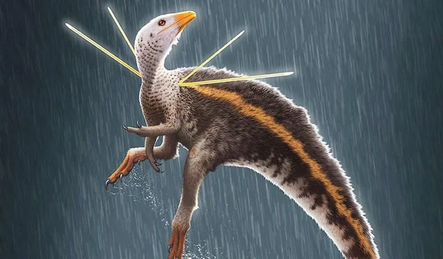 From “New Species” to Nomen Nudum: The Naming Roller Coaster
