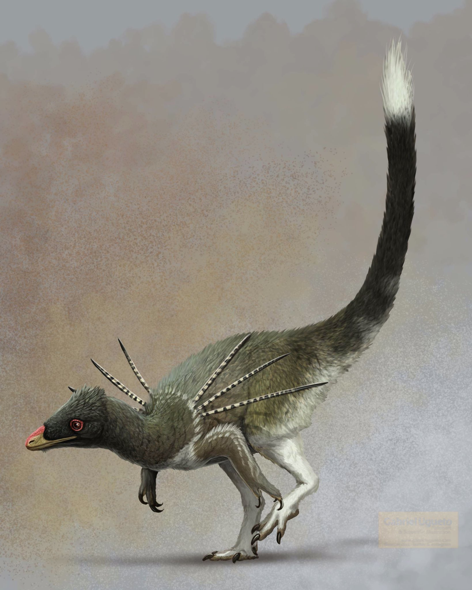 Conclusion: A Beautiful Dinosaur With an Unfinished Story