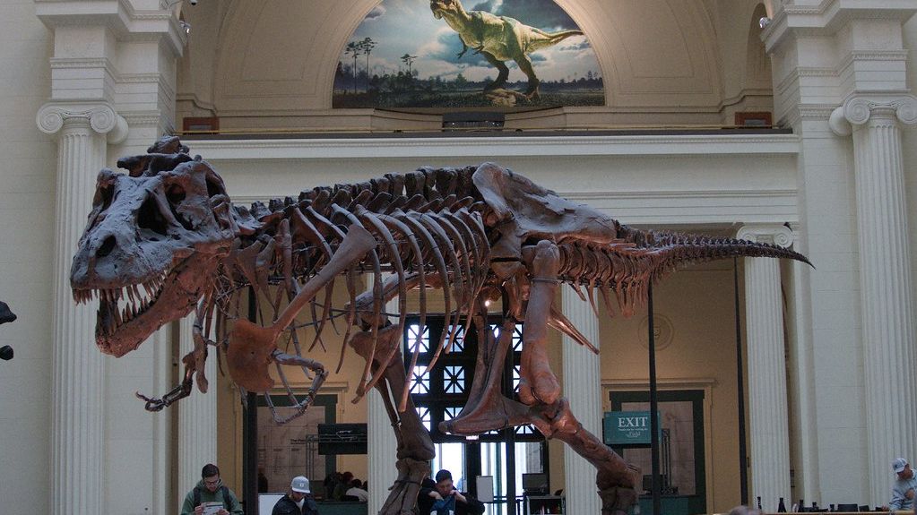 The Extraordinary Story of the World's Most Complete T. Rex Skeleton and What It Revealed