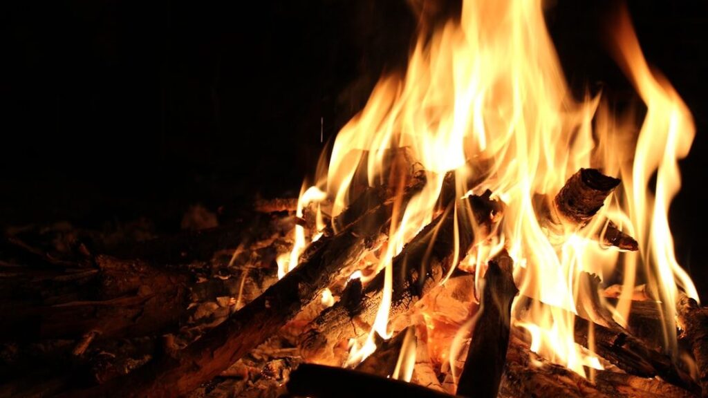 The Remarkable Story of How Prehistoric Humans First Learned to Control Fire - and What Changed After