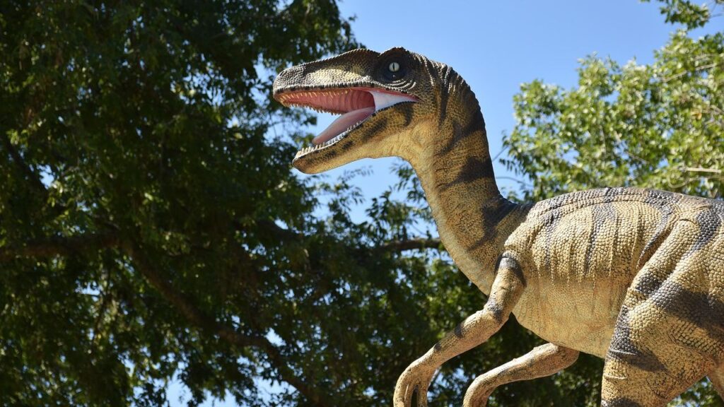 Why Velociraptors Were Actually the Size of a Turkey and Hollywood Owes Us an Apology