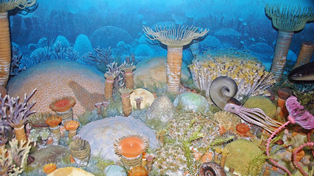 What Prehistoric Oceans Actually Looked Like - and Why They Were More Terrifying Than Any Ocean Today