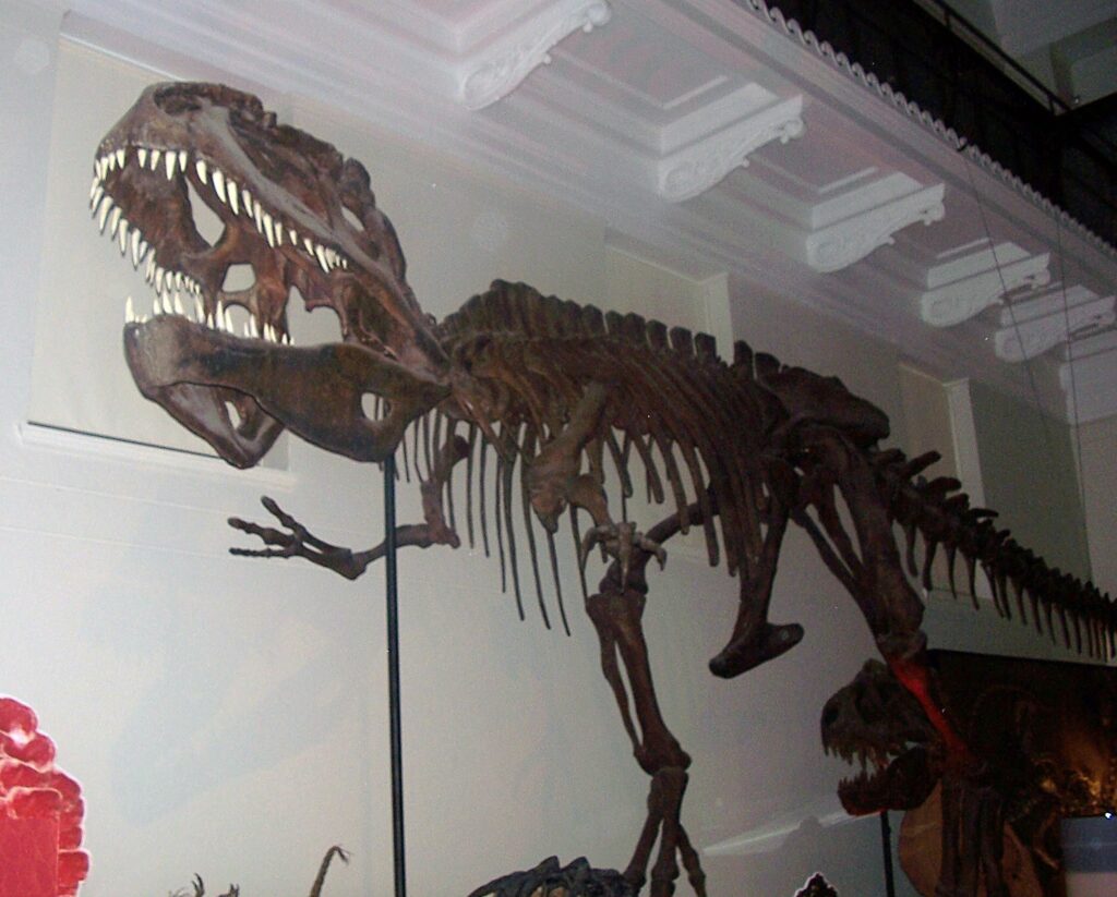 5 Reasons the Dinosaur Exhibit at Your Local Museum Is Quietly Out of Date in Embarrassing Ways