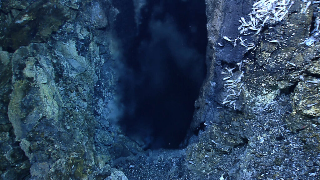 The prehistoric ocean floor was covered in a substance so thick and toxic that nothing alive today could survive five minutes in it
