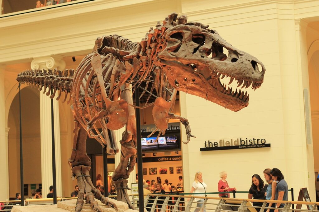 The Extraordinary Story of the World's Most Complete T. Rex Skeleton and What It Revealed