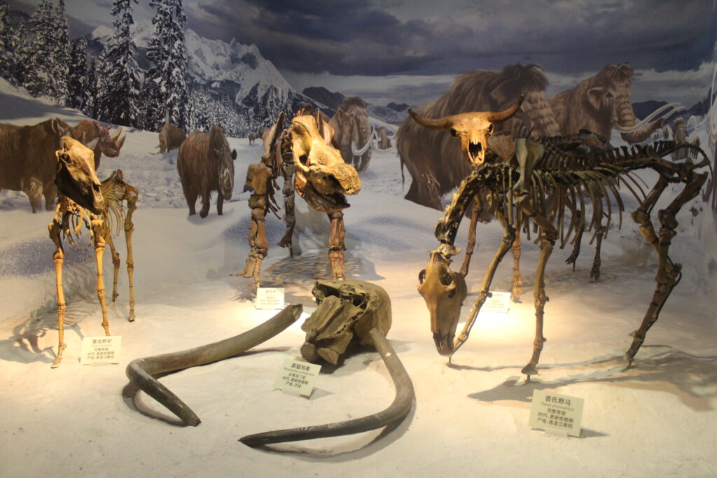 How the Ice Age Ended and Why the Megafauna Extinctions That Followed Are Still Deeply Controversial