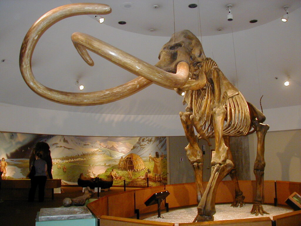 The Ice Age Animals That Were So Enormous They'd Make An Elephant Look Like A House Pet