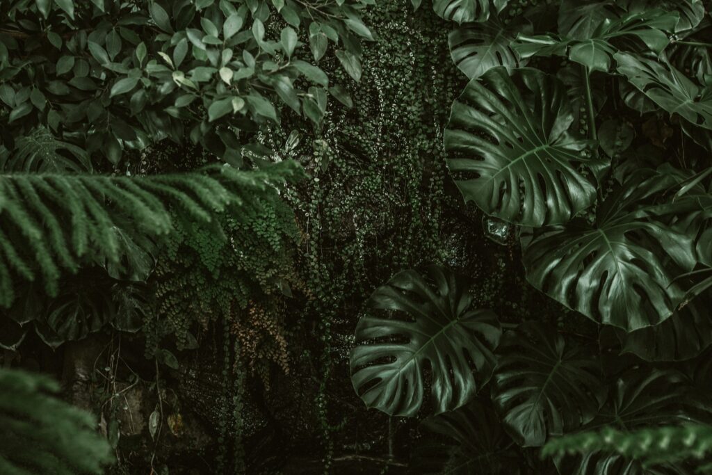 How Prehistoric Plants Were Completely Different From Anything Growing on Earth Today