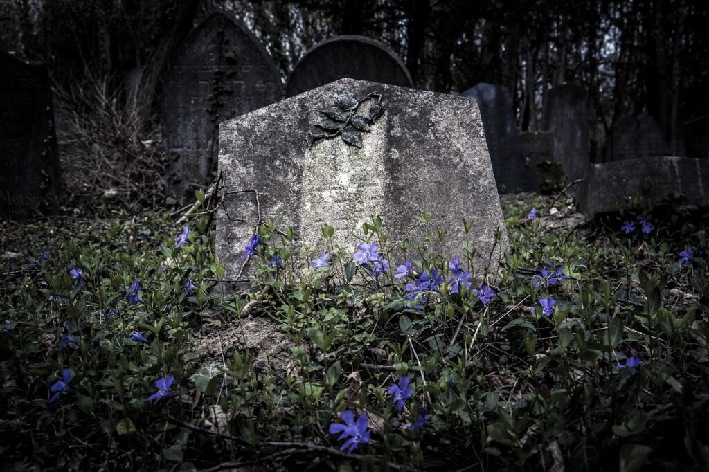 Anthropology Says Ancient Humans Who Buried Their Dead With Flowers 130,000 Years Ago May Have Had a Concept of an Afterlife Far Earlier Than Any Religion We Know