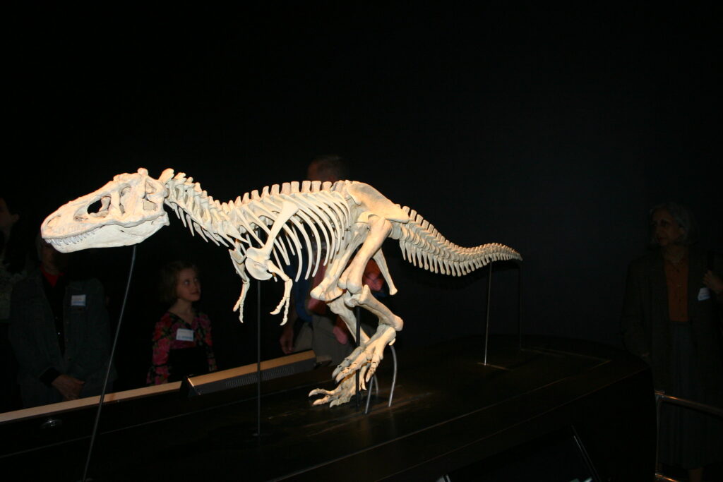 6 Times in Earth's History When Extinction Was Even Worse Than the One That Killed the Dinosaurs