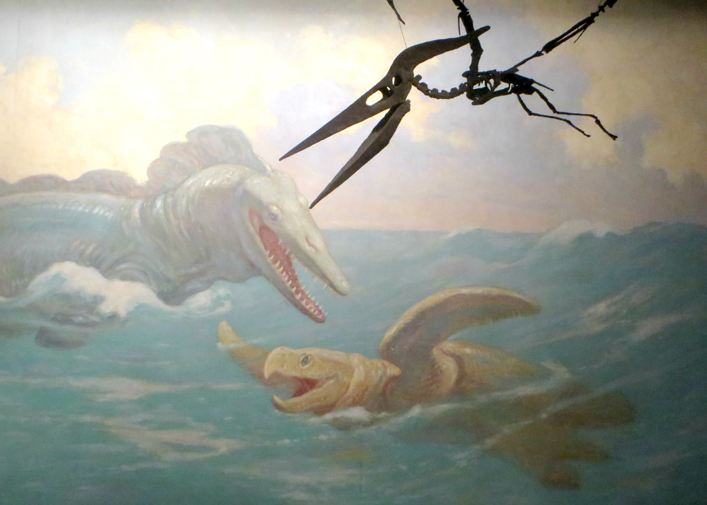 Did You Know Some Ancient Marine Reptiles May Have Hunted Like Orcas?