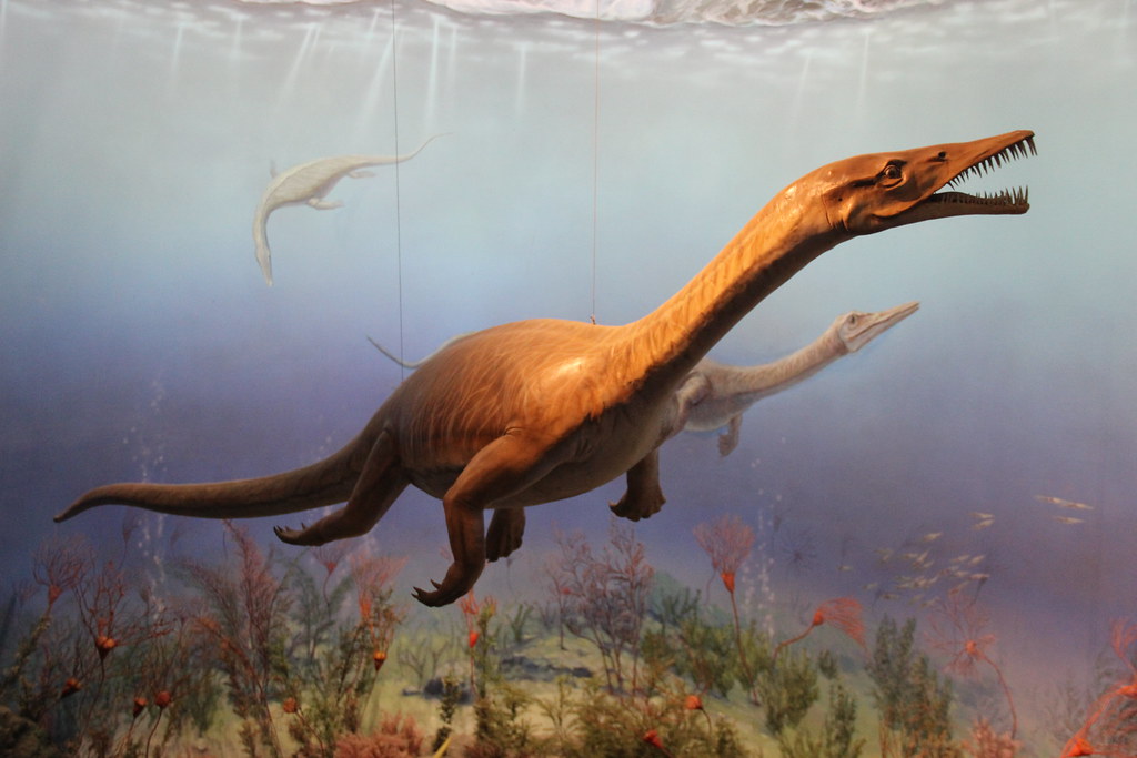 7 Marine Reptiles Stranger Than Dinosaurs
