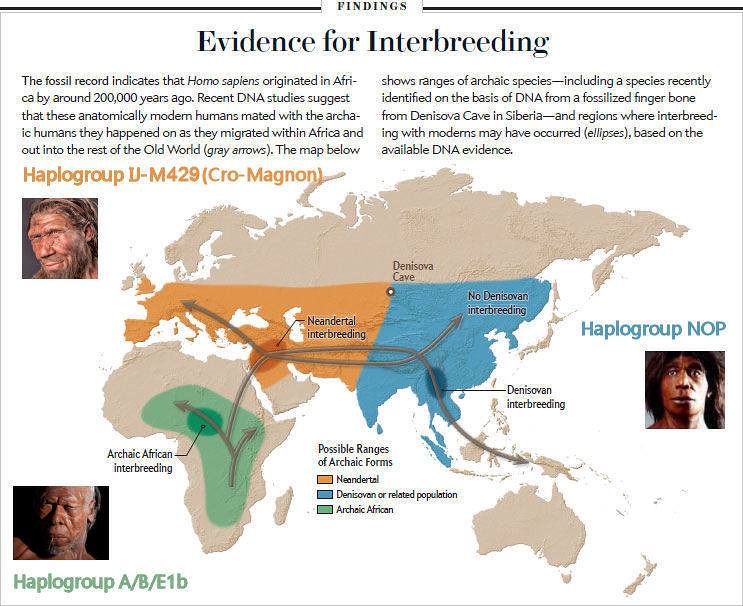 Did You Know Ancient Humans Shared Europe With More Than One Human Species?