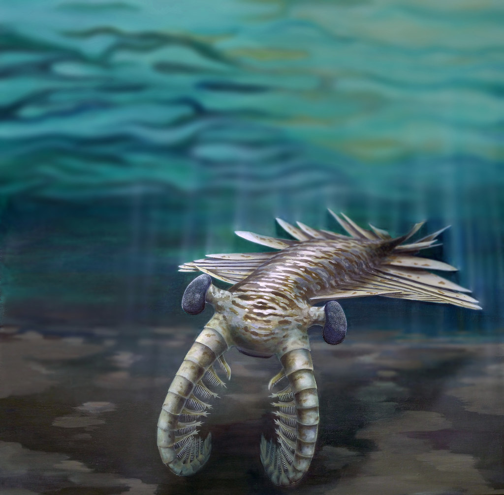 8 Sea Monsters That Ruled Before Sharks