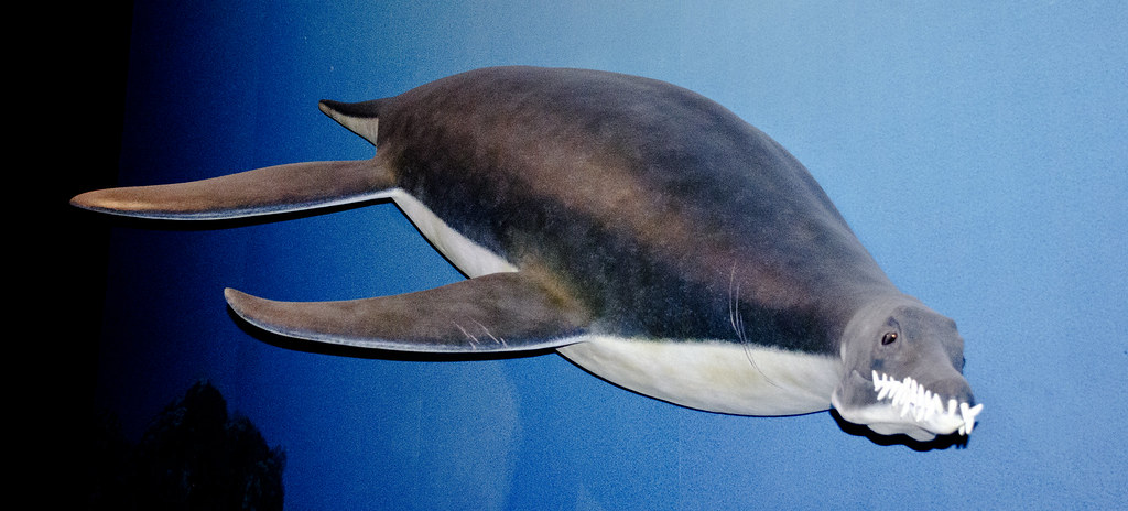 Paleontology Says Ancient Marine Reptiles Were Evolution's Most Successful Ocean Predators