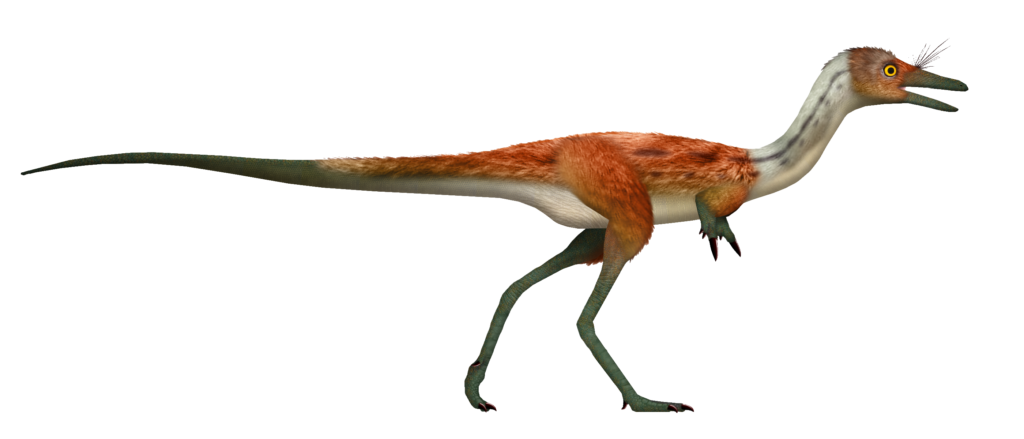 The Curious Story of Shuvuuia, One of the Fastest Night Hunters Ever Discovered