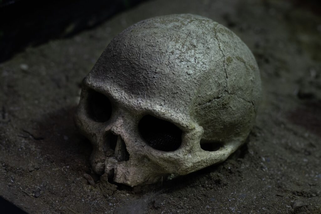 The First Child Ever Found Buried With Love Changed Our Understanding of Humanity