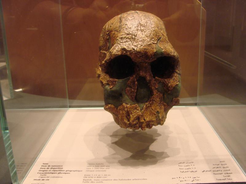 8 Ancient Human Discoveries That Completely Changed Anthropology