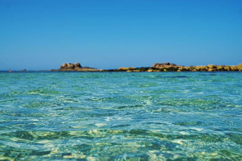10 Things Ancient Oceans Had That Modern Oceans Don't