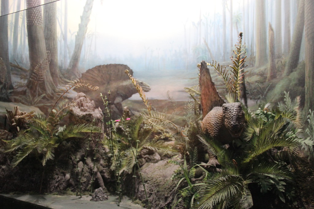 10 Strange Things About Earth Before Dinosaurs