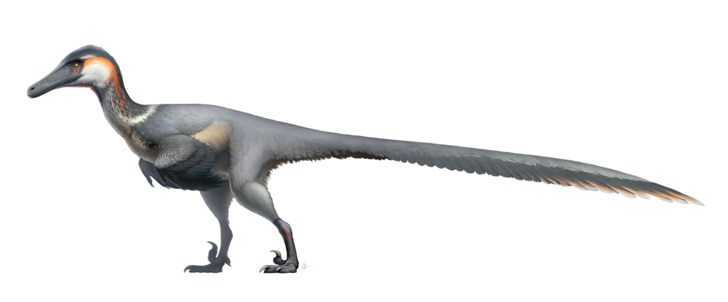 8 Incredible Facts About Austroraptor, South America's Forgotten Hunter