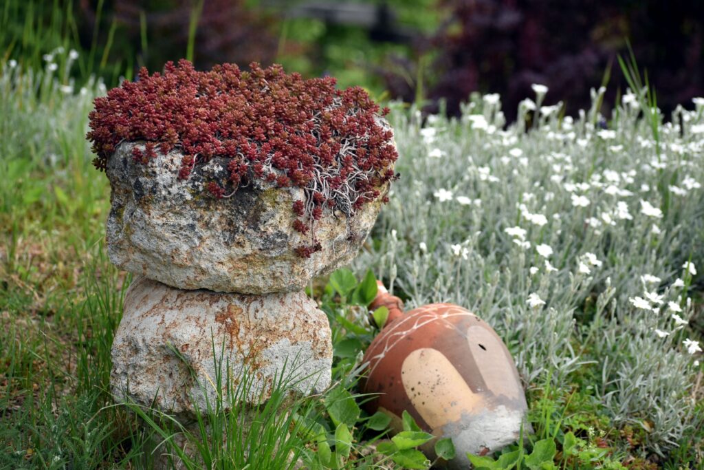 Geology Says There Are Rocks in Your Backyard Right Now That Are Older Than Every Living Thing on Earth – Including All the Dinosaurs That Ever Existed