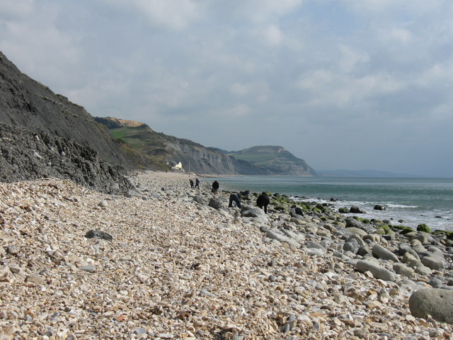 The stretch of coastline in England where dinosaur fossils wash out of the cliffs after every storm and anyone can legally collect them