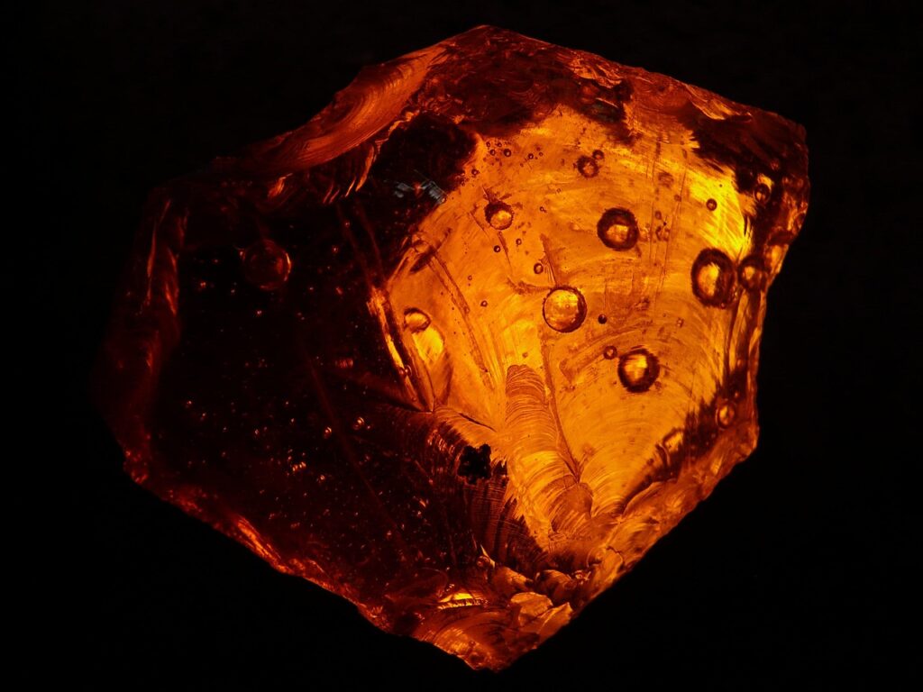 The amber specimen collected in the 1800s that turned out to contain soft tissue from a creature no researcher had previously known existed